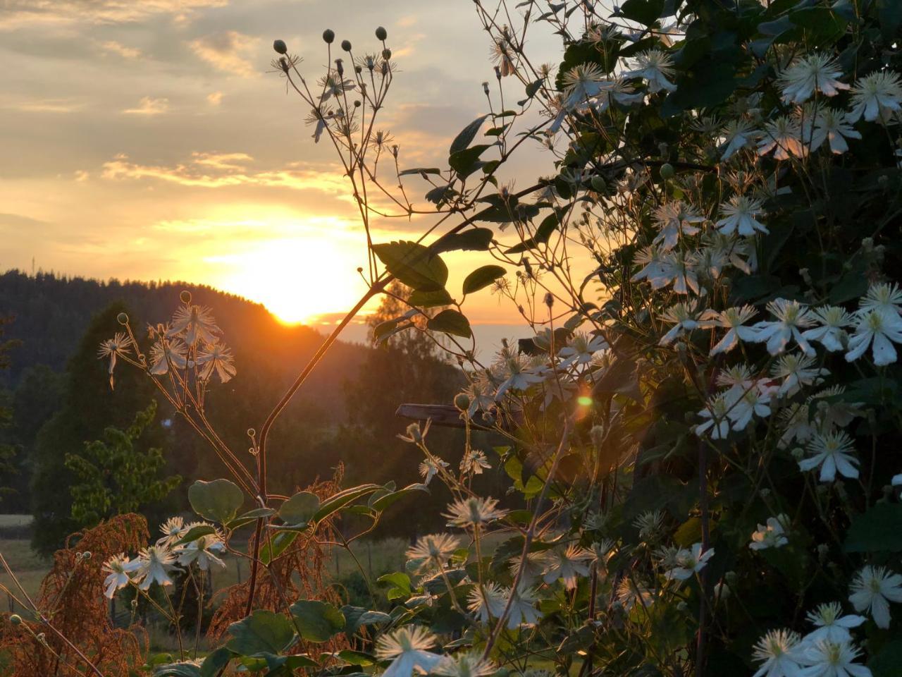 Lovas Gard Koppera Daire Charlottenberg Dış mekan fotoğraf